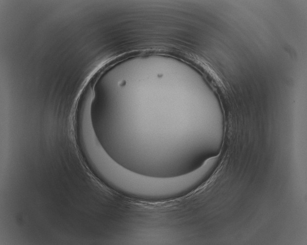 X0000116321075200912291529