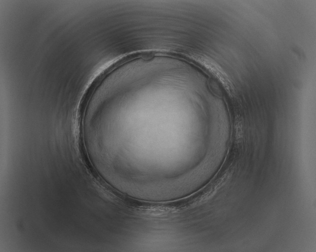 X0000116321077200912291529