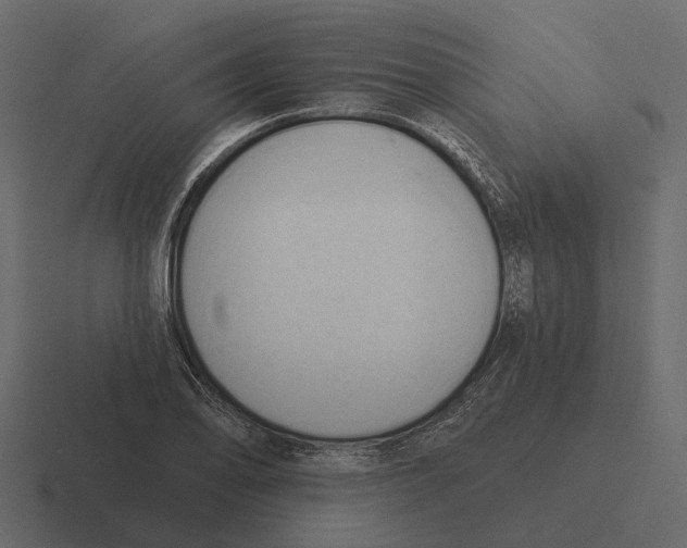 X0000116321078200912291529