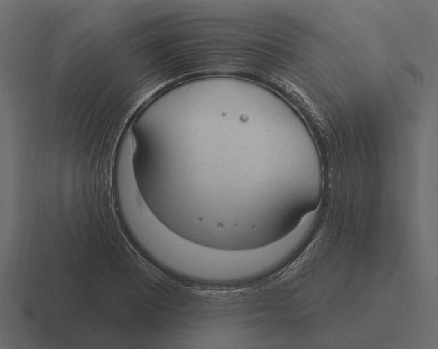 X0000116321081200912291529