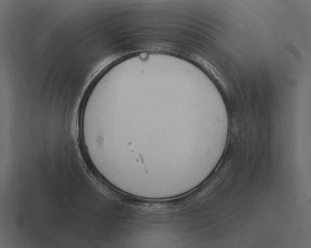 X0000116321082200912291529