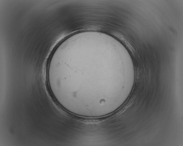 X0000116321083200912291529