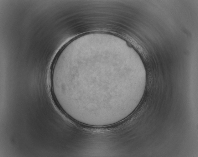 X0000116321084200912291529