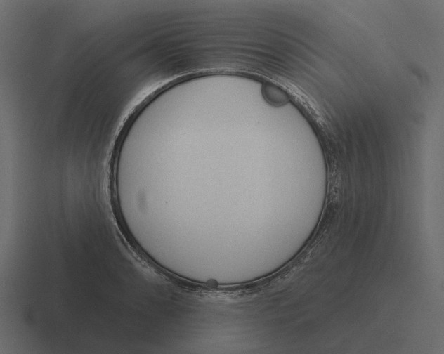 X0000116321086200912291528