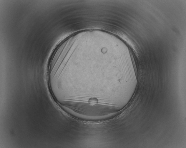 X0000116321088200912291528