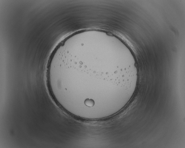 X0000116321093200912291528