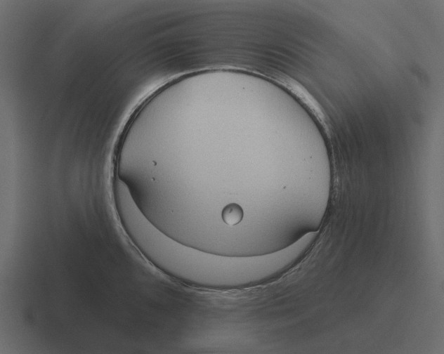 X0000116321096200912291528