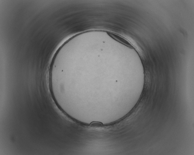 X0000116321100200912291528