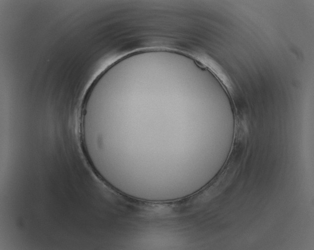 X0000116321101200912291528