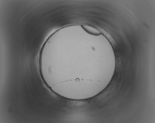 X0000116321103200912291528