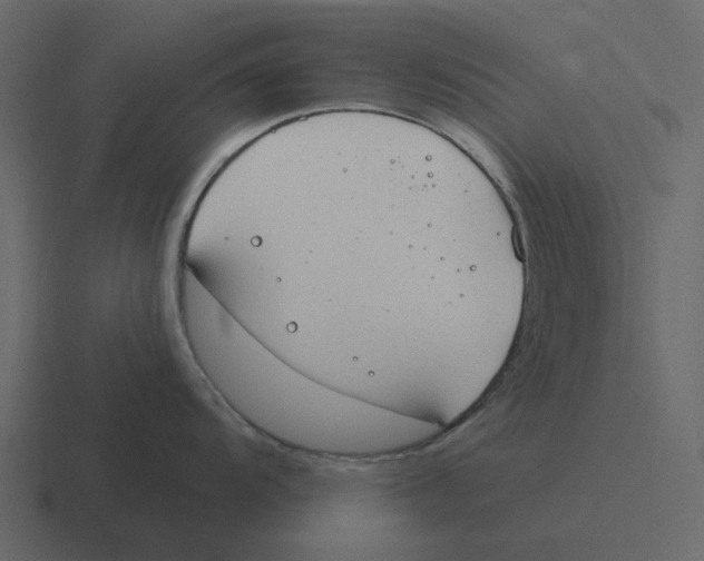 X0000116321104200912291528