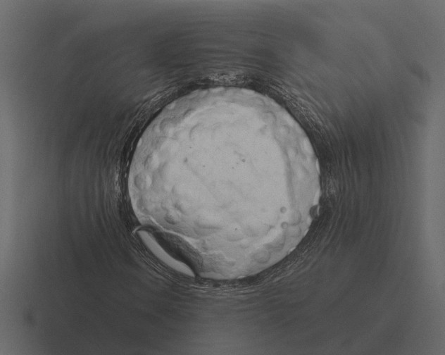 X0000116321106200912291528