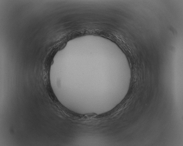 X0000116321109200912291528