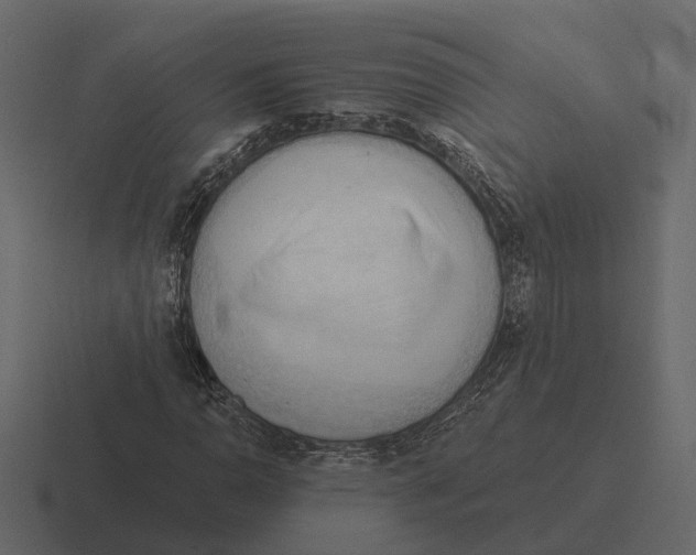 X0000116321110200912291528