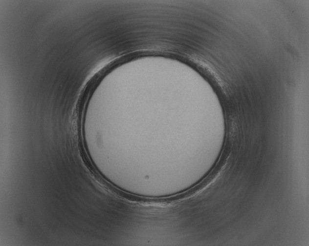 X0000116321114200912291528