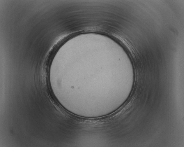 X0000116321115200912291528