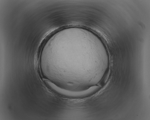 X0000116321117200912291528