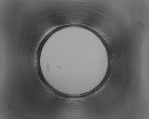 X0000116321118200912291528