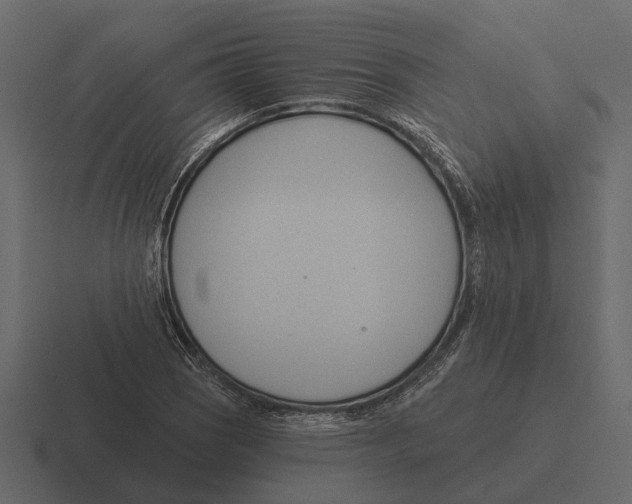 X0000116321121200912291528