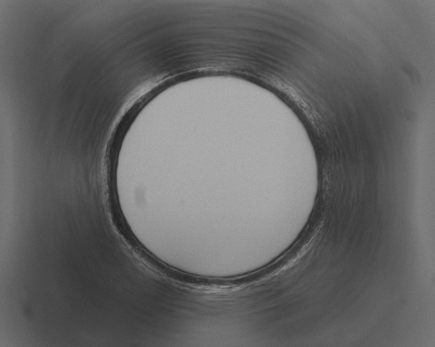 X0000116321122200912291528