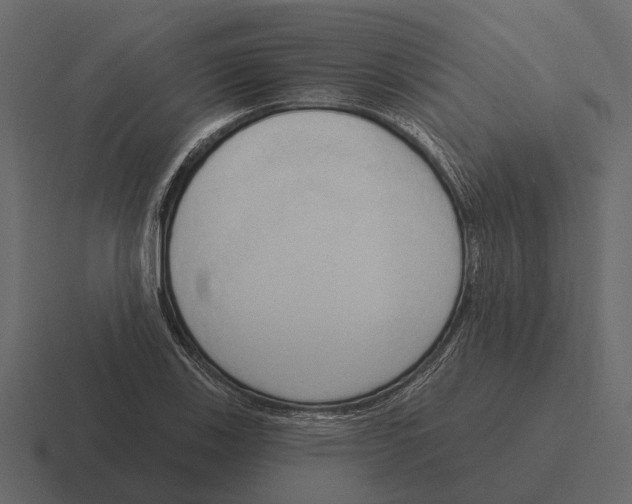 X0000116321123200912291528