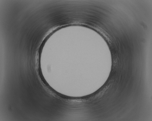 X0000116321126200912291528