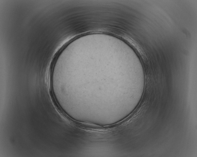 X0000116321127200912291528