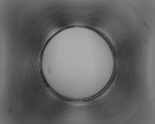 X0000116321129200912291528