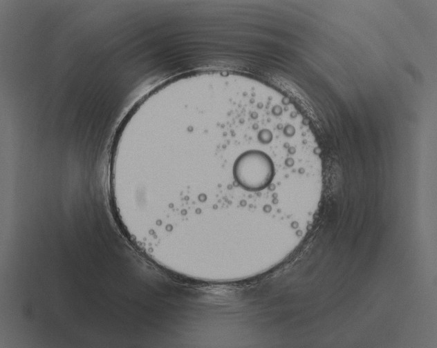 X0000116321130200912291528