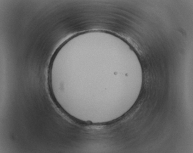 X0000116321134200912291528