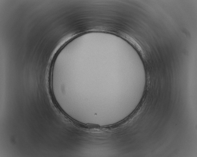 X0000116321138200912291528