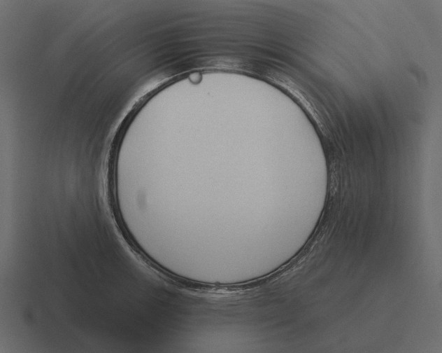 X0000116321139200912291528