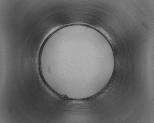 X0000116321142200912291528