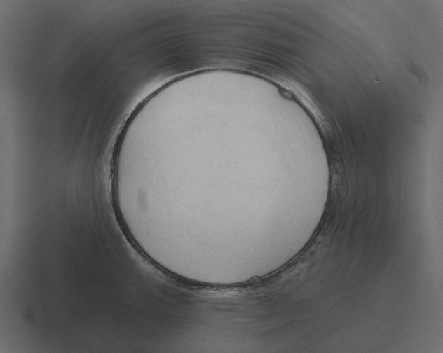 X0000116321143200912291528