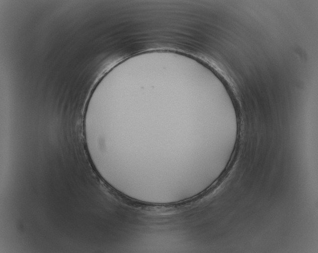 X0000116321145200912291528