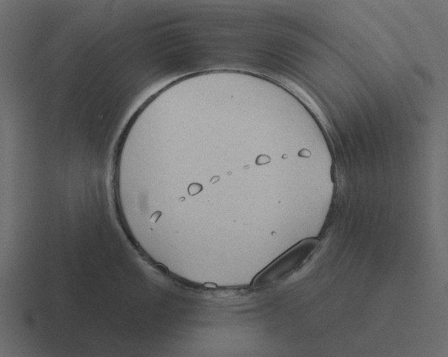 X0000116321149200912291528