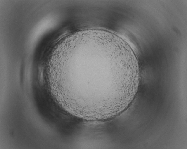 X0000116321150200912291528