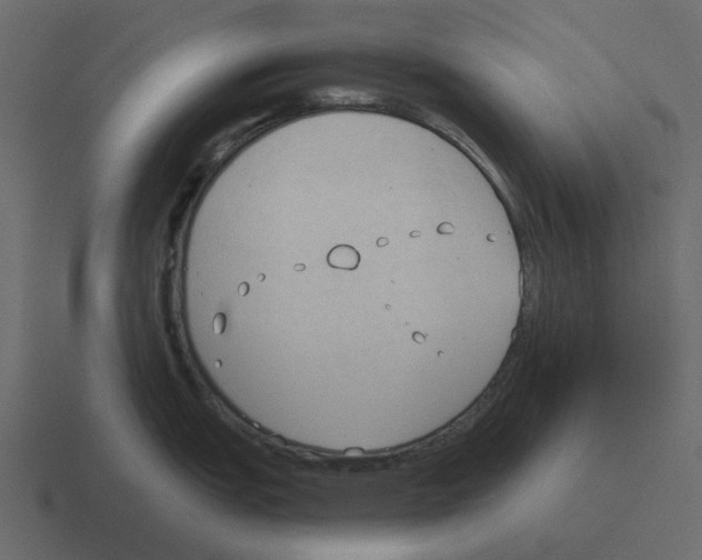 X0000116321151200912291528