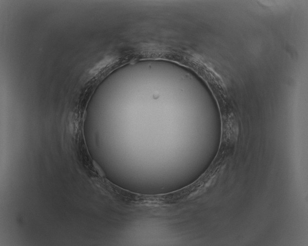 X0000116321157200912291528