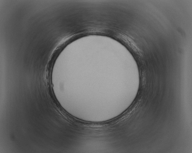 X0000116321164200912291528