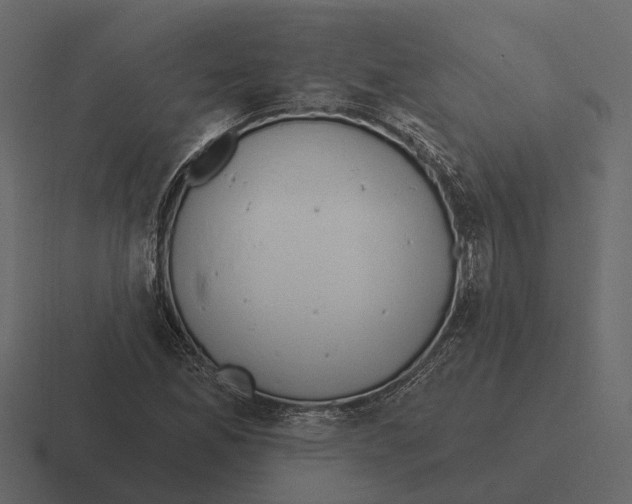 X0000116321165200912291527