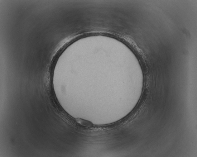 X0000116321167200912291527