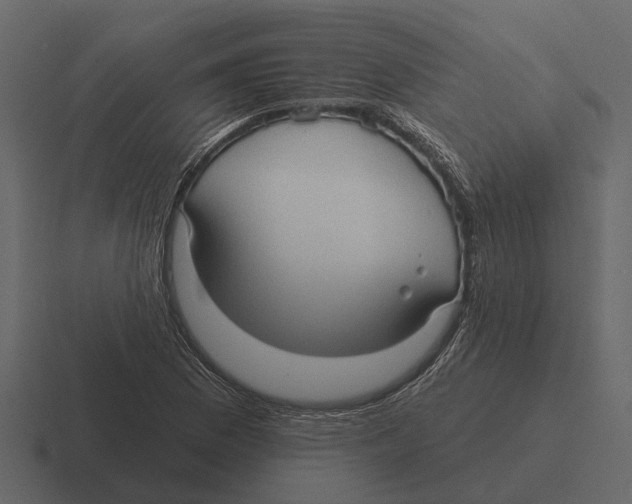 X0000116321169200912291527