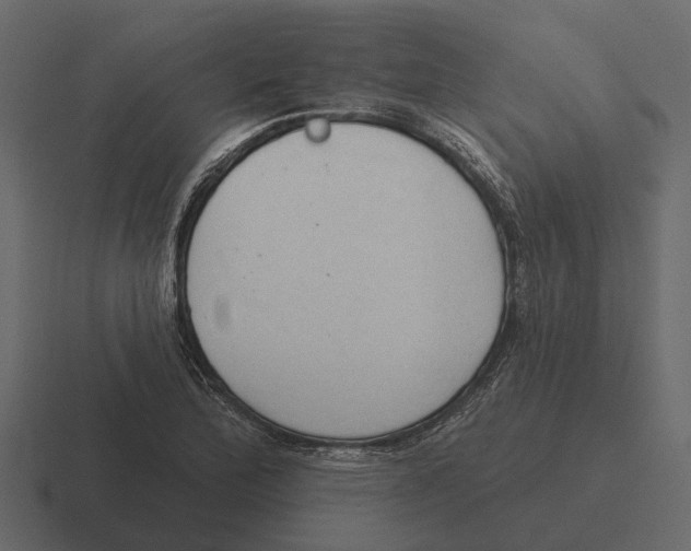 X0000116321172200912291527