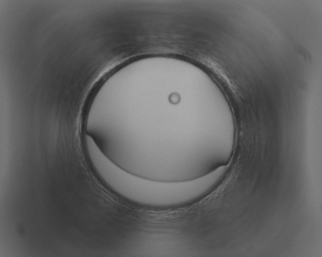 X0000116321173200912291527