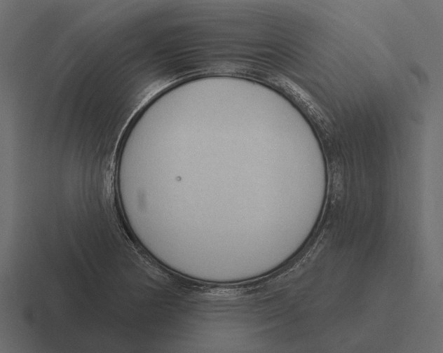 X0000116321178200912291527