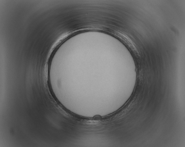 X0000116321180200912291527