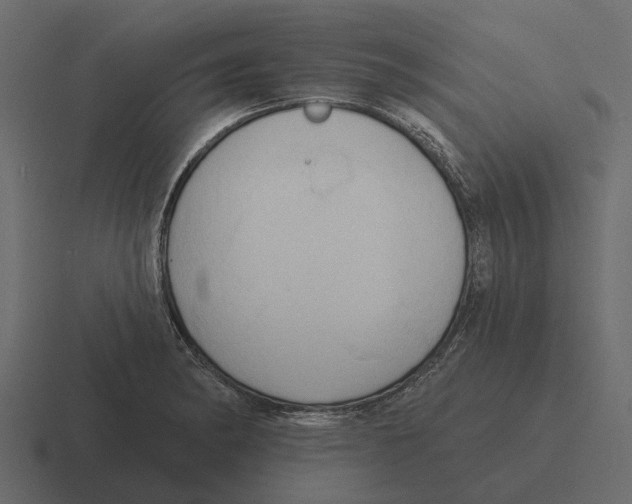 X0000116321182200912291527