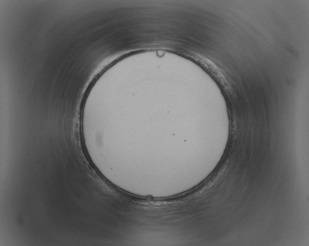 X0000116321184200912291527