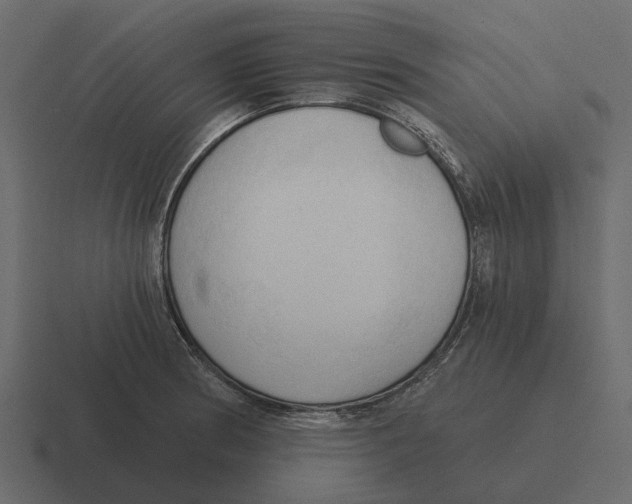 X0000116321186200912291527